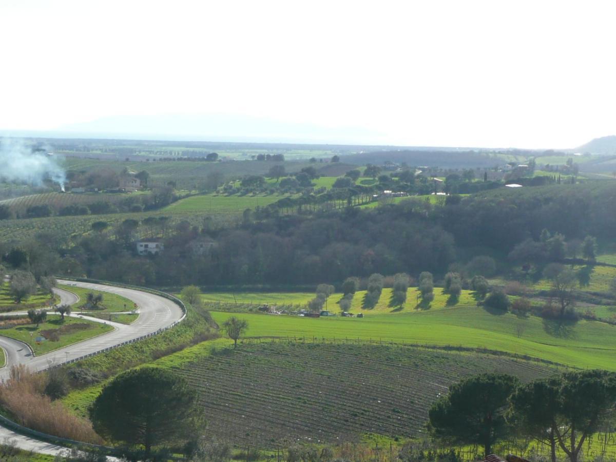 מליאנו אין טוסקנה Artemisia Negli Ulivi B&B מראה חיצוני תמונה