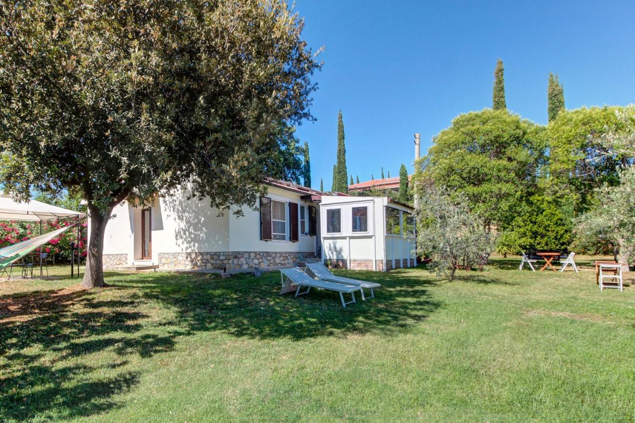 מליאנו אין טוסקנה Artemisia Negli Ulivi B&B מראה חיצוני תמונה