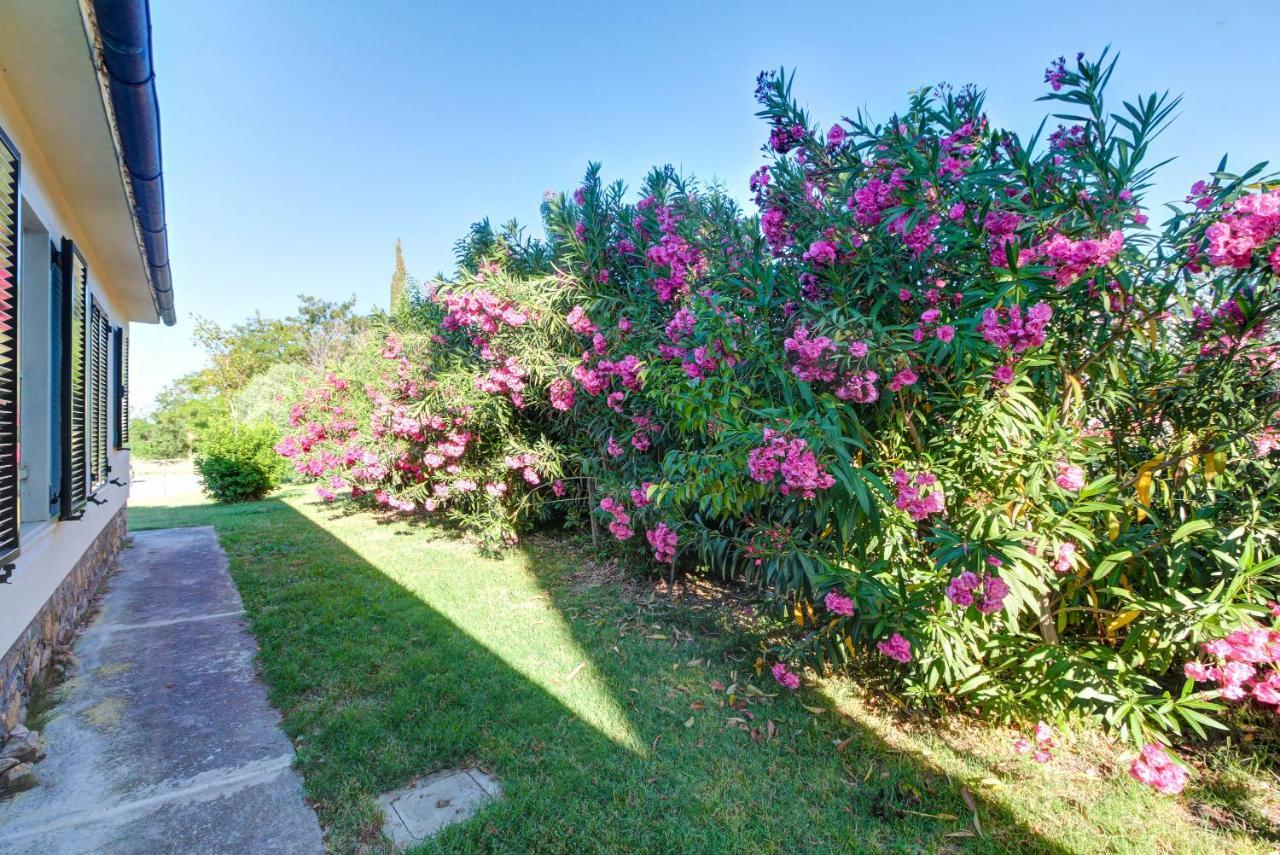 מליאנו אין טוסקנה Artemisia Negli Ulivi B&B מראה חיצוני תמונה