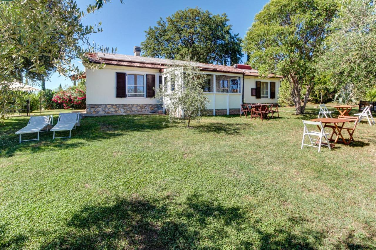 מליאנו אין טוסקנה Artemisia Negli Ulivi B&B מראה חיצוני תמונה