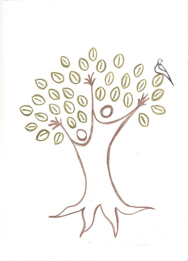 מליאנו אין טוסקנה Artemisia Negli Ulivi B&B מראה חיצוני תמונה